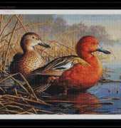 Classic Cross Stitch NEW 225 Cinnamon Teal Duck