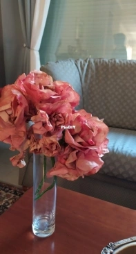 Paper flowers