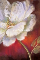 Levron - White Flower