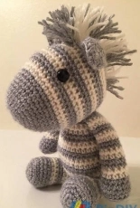 Jamie Storer- Zebra- Free