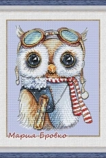 Owl Aviator - Maria Brovko XSD + PCS