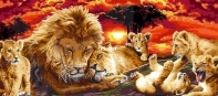 Abakan - Lion Family by Urszula Przygrodzka