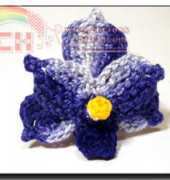 Meli Bondre - Camelia Shanahan - Blue Vanda Orchid Flower - Free