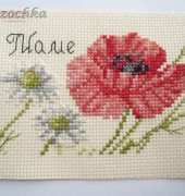 Country Diary Card