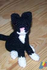 My Little Tuxedo Cat