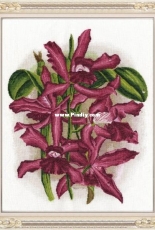 Zolotoe Runo ZR TSK-015 - Velvet Shine PCS