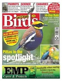 Cage and Aviary Birds - Issue 6401 -  January 14, 2026