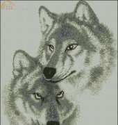 Wolves From Nastunya 62-2011