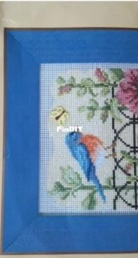 Mill Hill Spring Bluebird