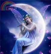 Arxinda - Moonlight Melody