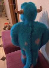 My own - Sully