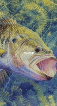 Pike by Wooden house