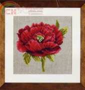 Lanarte 34836 Red Anemone XSD