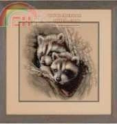 Dimensions 35253 Two Raccoon Cubs XSD