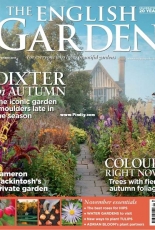 The English Garden November 2017