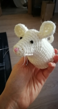 My Mouse Trophy Head