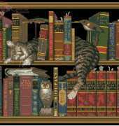 Dimensions 35048 Frederick the Literate XSD