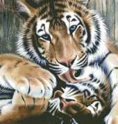 HAED HAESIB 01 Double Trouble by Sandi Baker