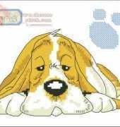 DMC Perfect pets K5091 - Boris