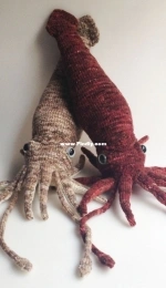 Inkling the Squid by Cate Carter-Evans free
