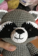 My raccon