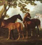 Laura Stitch - ANIM 055 - Horses