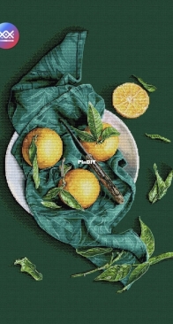 Sunny stitch - Still Life With Tangerines by Irina Valiullina SAGA