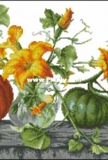 Luca-S B2303 - Pumpkins XSD