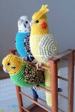 my parrot