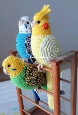 my parrot