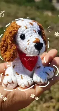 Gatos Lanudos -  Ana Luz - Cocker Spaniel - Perrito Cocker - Spanish