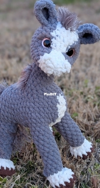 A silly little foal