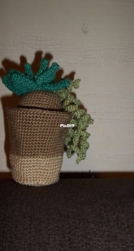 Flora