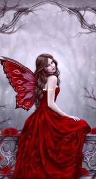 HAED HAERA15851 Winter Rose by Rachel Anderson
