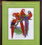 Pinn 24-P - Macaws