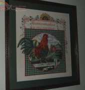 A rooster in my kitchen