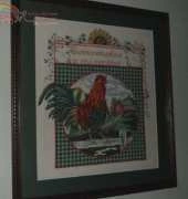 A rooster in my kitchen