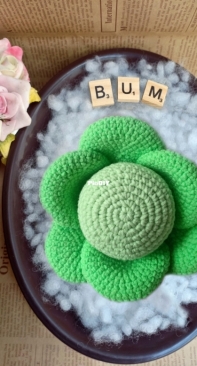BumHandmade - Cabbage
