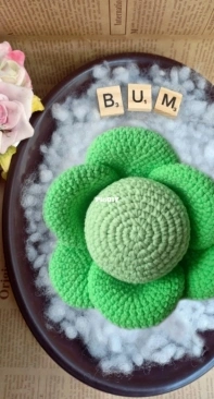BumHandmade - Cabbage