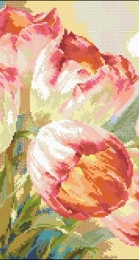 Alisa 2-29 Tulips XSD + PCS