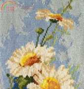 Daisies