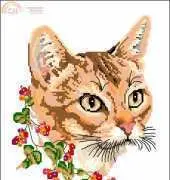 The Abyssinian - Autumn Cat by Jayne Netley Mayhew XSD