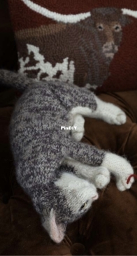 New Little Kitten by Claire Garland - Dot Pebbles