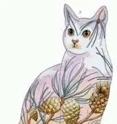 HAED HAXP1869 Cat 4 Myrea Pettit
