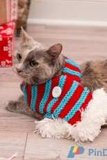 Red Heart-LW5338-Stylish Pet Scarf by Rebecca J. Venton-Free