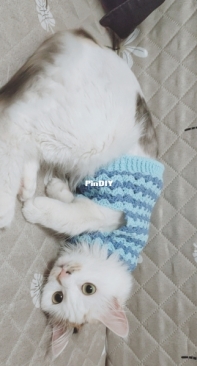 striped cat clothes handmade crochet cat sweater