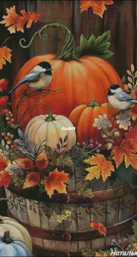 Pumpkin by Natalia Guba/ Snezhnaya