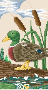 Mallard in the Morning from Stoney Creek Collection Book 268 - Fish and Fowl PCS