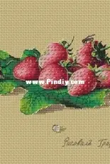Strawberry by Ekaterina Volkova