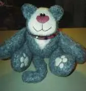 Emilys Cat